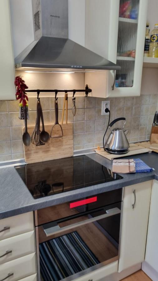Apartment Pinewood *** Vyšné Ružbachy Zewnętrze zdjęcie